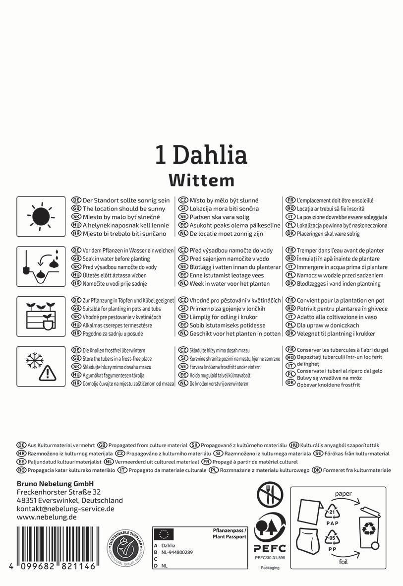 Anleitungstext für Dahlia Wittem, Pflanzhinweise, Wasserbedarf, Standort, Pflanzung in Töpfen, Frostschutz, Verpackungs- und Kontaktinformationen.