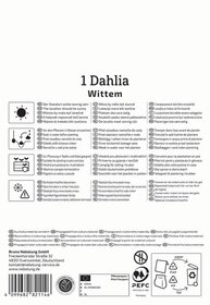Anleitungstext für Dahlia Wittem, Pflanzhinweise, Wasserbedarf, Standort, Pflanzung in Töpfen, Frostschutz, Verpackungs- und Kontaktinformationen.