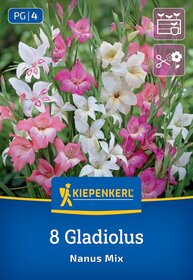 Bunte Gladiolenblüten in Pink, Weiß und Creme mit grünen Blättern vor grünem Hintergrund.