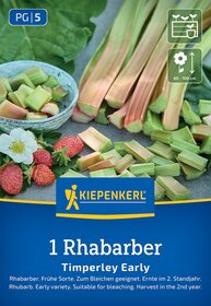 Rhabarberstangen, Frühlingsblüte, Erdbeeren mit Blüte, Beschriftung für Rhabarbersamen, grüne Blätter, Anzuchtanleitungssymbole.