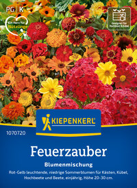 Bunte Sommerblumenmischung mit roten, gelben, orangefarbenen, rosa Blüten, für Beete, Kübel und Hochbeete.