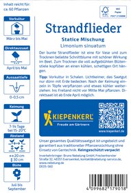 Bunte Strandflieder in Blüte, auf weißem Hintergrund, mit Text auf einer Pflanzenschutzetikette.