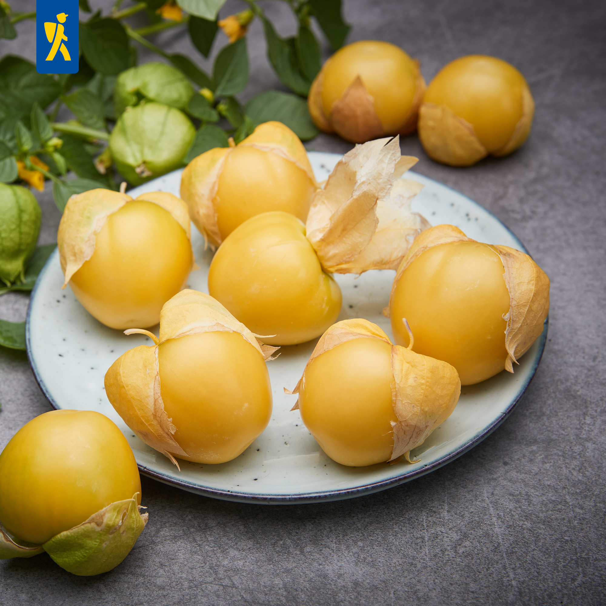Hokkaido-Kürbisse auf einer weißen, gepunkteten Platte, einige auf einem grauen Hintergrund, mit grünen Zweigen.