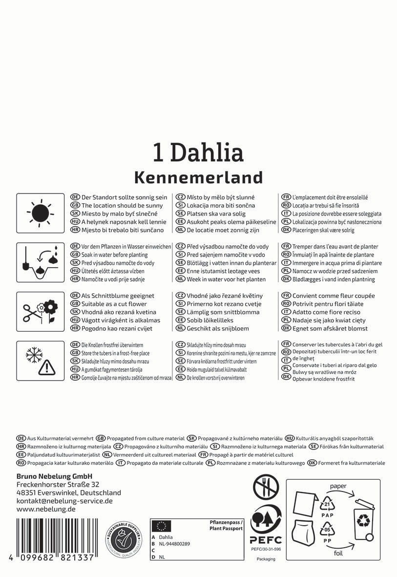 Karton mit Pflanzanleitung, Symbole, Barcode, Unternehmensdaten und Recyclinghinweise.