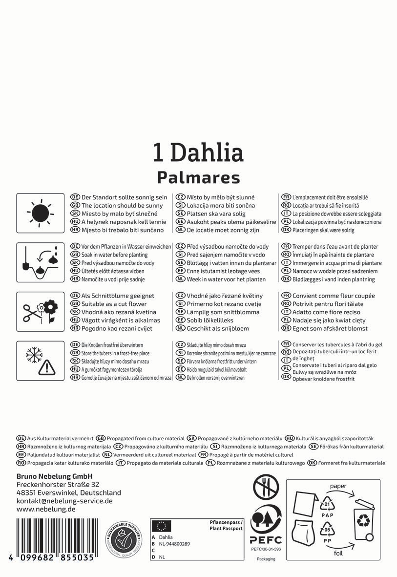 Pflegehinweise, Pflanzentipps und Symbole für Dahlia Palmarès auf einem Etikett.