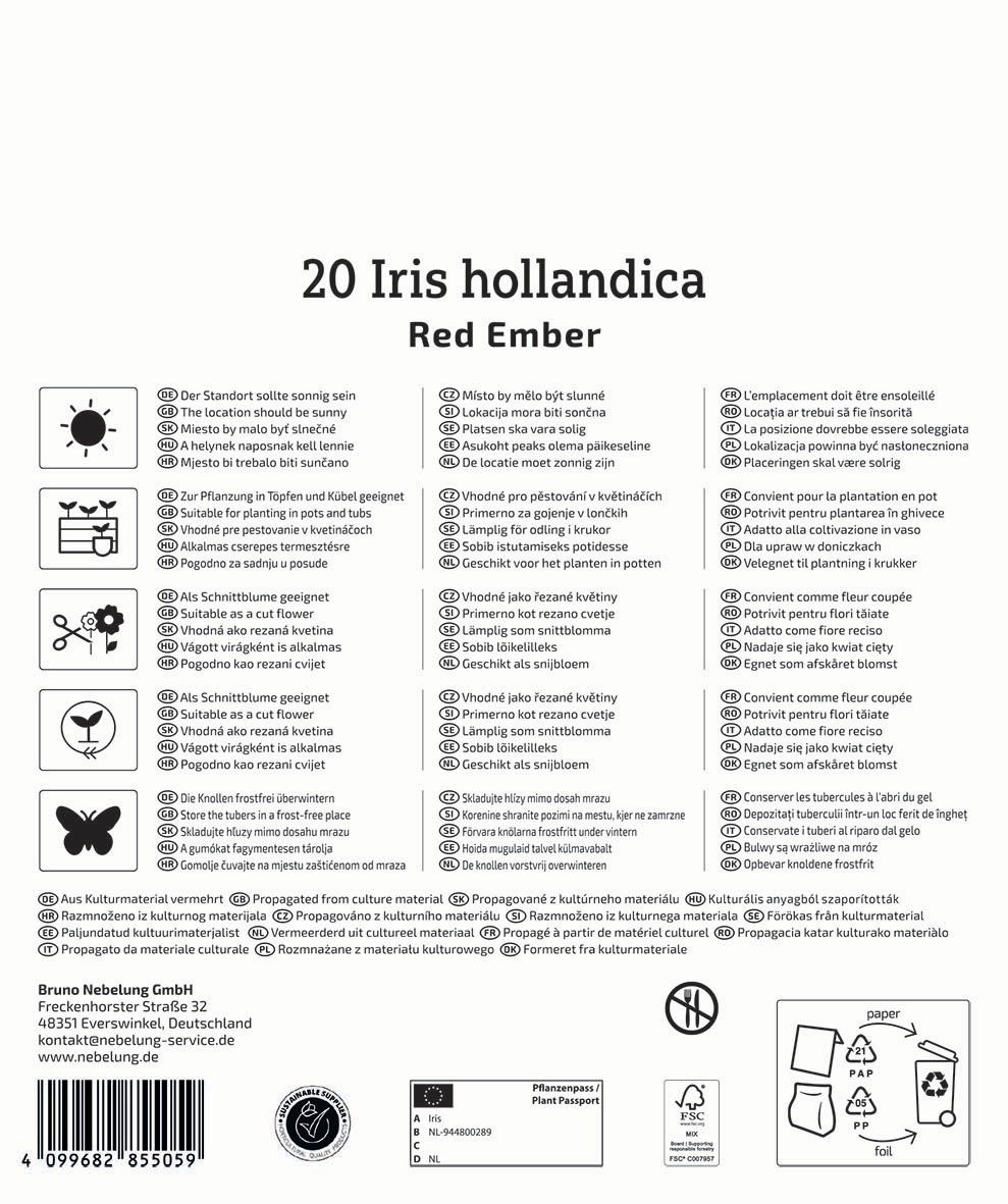 Pflanztopf mit zwei Pflanzen und entsprechender Anleitung in mehreren Sprachen.