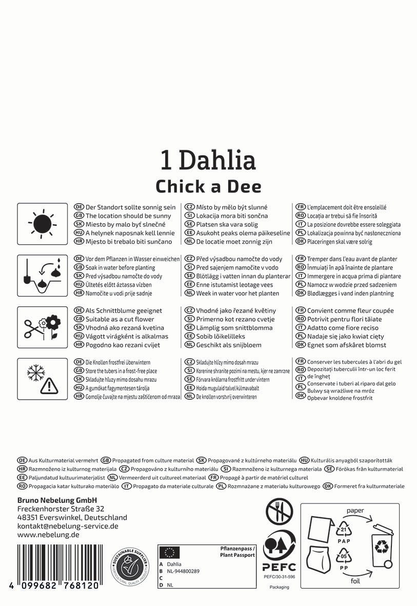 Anleitungssymbols für Pflegen, Pflanzen, Standort, Schneiden, Boden, Wasser, Anzucht, Schnittblumen und Recycling auf weißem Hintergrund.