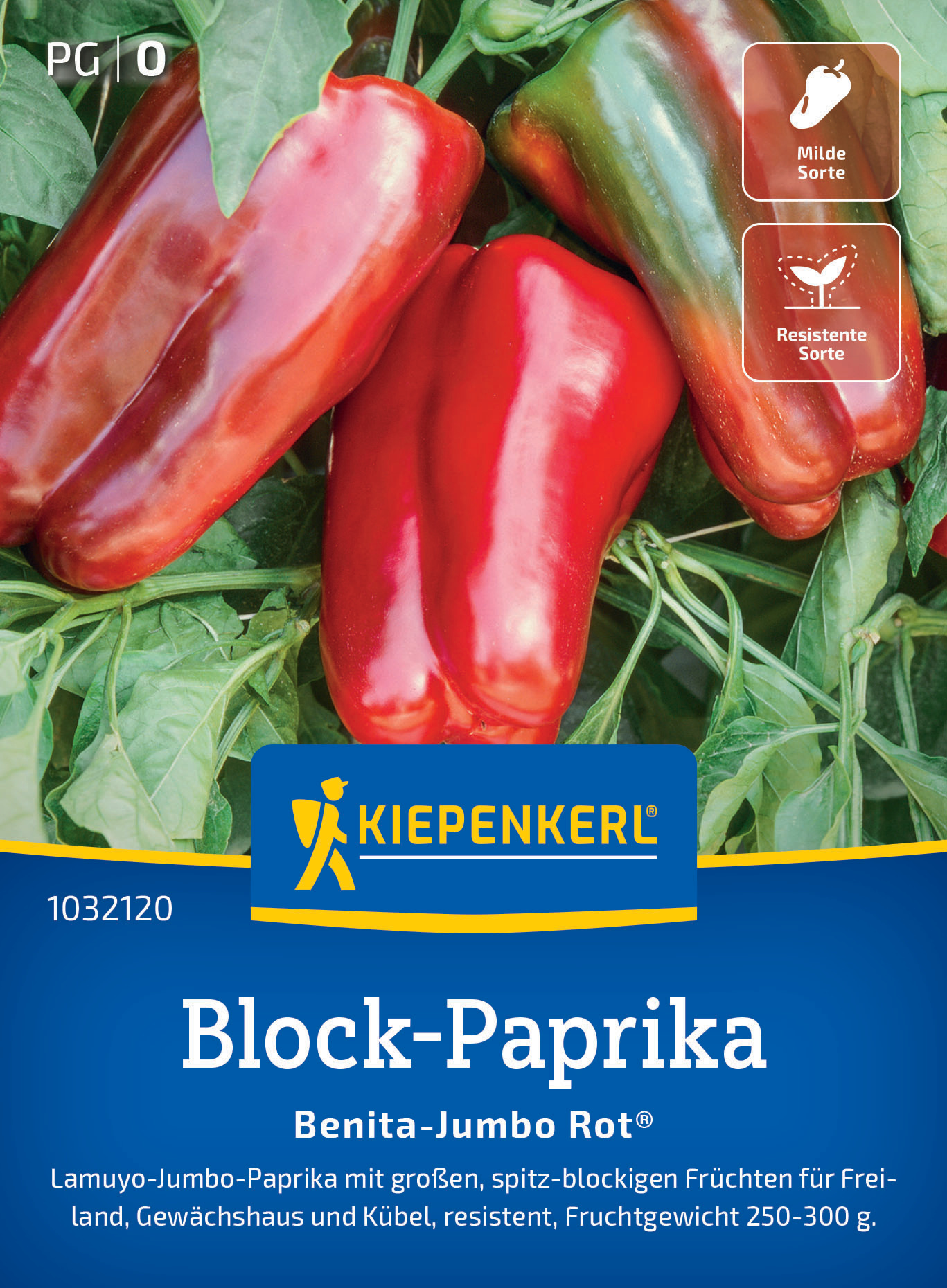 Drei rote, große Paprikaschoten mit grünen Blättern, eine mit glatter Oberfläche, eine analoge mit leichtrunzlicher Oberfläche.