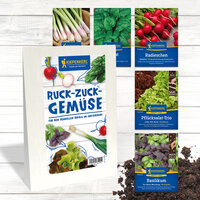 Sorten von Gemüsesamen und eine Gemüsemischung auf weißem Holzuntergrund.