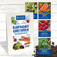 Saatbund und vegetarische Gartensamen, Radieschen, Möhren, Basilikum, auf weißem Holzuntergrund.