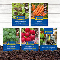 Samen gepflanzte Gemüsesamen auf Erde, darunter Salat, Möhren, Basilikum, Radieschen und ein Gartentipp.