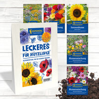 Verschiedene Blumen- und Blumensamenpackungen auf einem weißen Holztisch, mit Erde im Vordergrund.