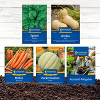 Samenkörbisse, Spinat, Möhren, Zuckermelone und Aussaat-Ratgeber auf Erde liegend, im Hintergrund Holzwand.