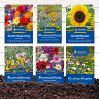 Verschiedene Blumensamen-Pakete auf Erde, darunter Blumenmischungen, Sonnenblume und Nützlingsberater.