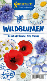 Bunte Wildblumen mit weißen, blauen, violetten, roten und gelben Blüten auf weißem Holzuntergrund