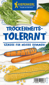 Bunte Karotten, Mais, Salat, Paprika auf weißem Hintergund.