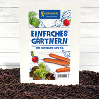 Saatring mit Karotten, Radieschen und Salat auf Erde vor weißem Holz