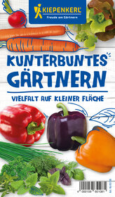Verschiedene bunte Paprika, Gurke, Salat, Kräuter und Möhre auf weißem Holzuntergrund.