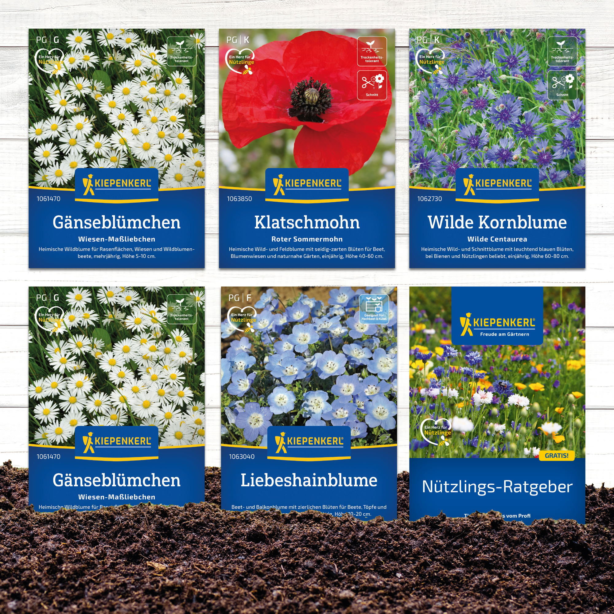 Samenblumen, Klatschmohn, wilde Kornblumen, Liebesblume, Nutzlings-Ratgeber, auf Erde stehend, Frühlings/Wiesenfotos.