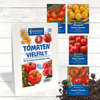 Verschiedene Tomatensamen Verpackungen auf weißem Holz Tisch, Küchengarten, Erde.