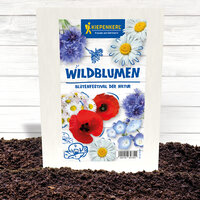 Packungsanzeige mit verschiedenen wilden Blumen und Blüten für Blumenfestival der Natur