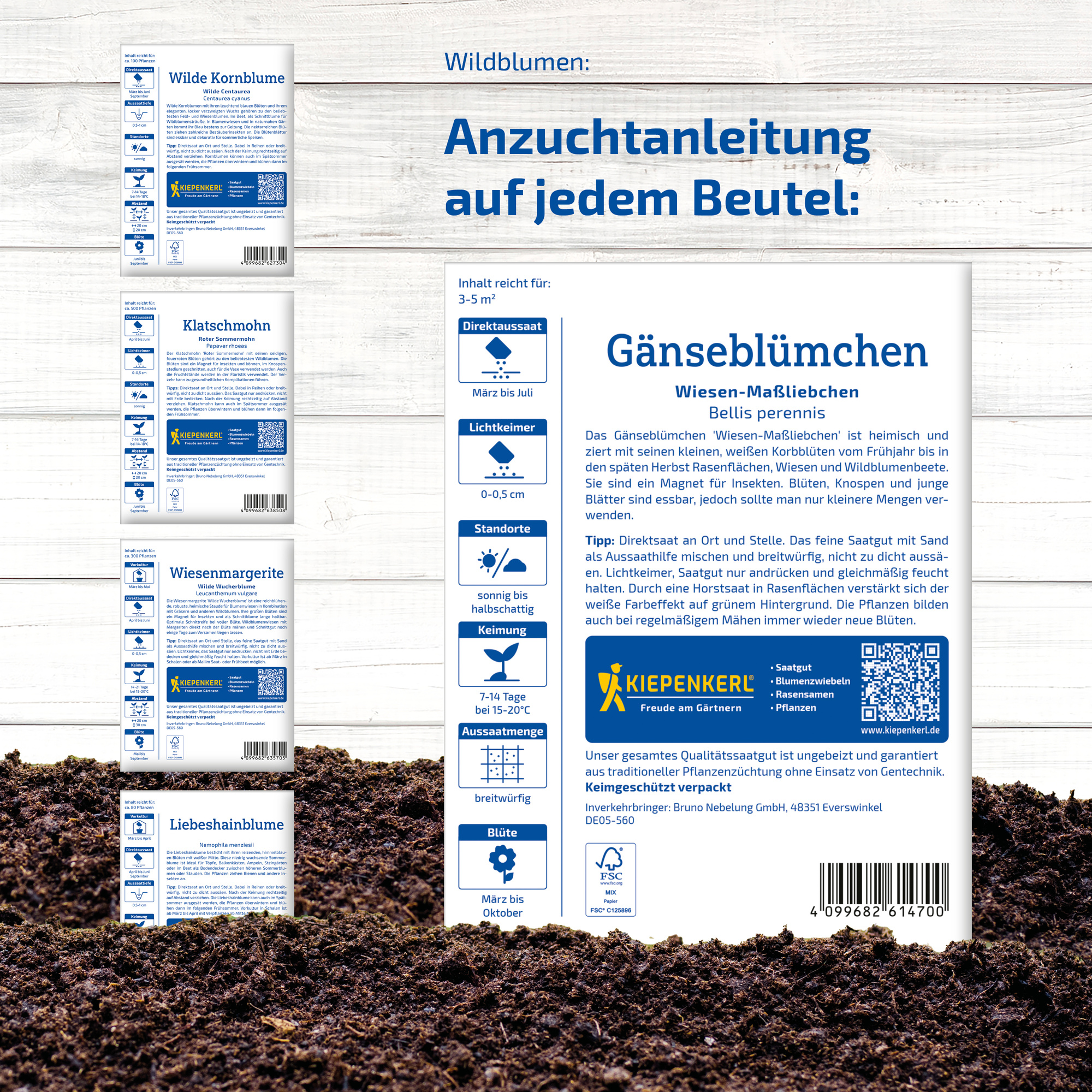 Anleitungsblatt für das Bepflanzen von Gänseblümchen in Beuteln, mit Symbolen, QR-Code und pflanzenbezogenen Informationen.