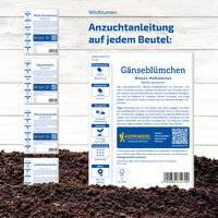 Anleitungsblatt für das Bepflanzen von Gänseblümchen in Beuteln, mit Symbolen, QR-Code und pflanzenbezogenen Informationen.