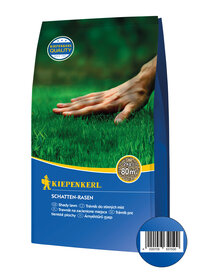 Grünes Gras mit menschlicher Hand, die es berührt, auf Verpackung eines Rasensamens.