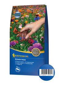 Hand hält eine Biene vor bunten Blumenwiese mit einem Schmetterling.