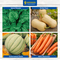Vier Gemüsesorten: Spinat, Kürbis, Melone, Karotten