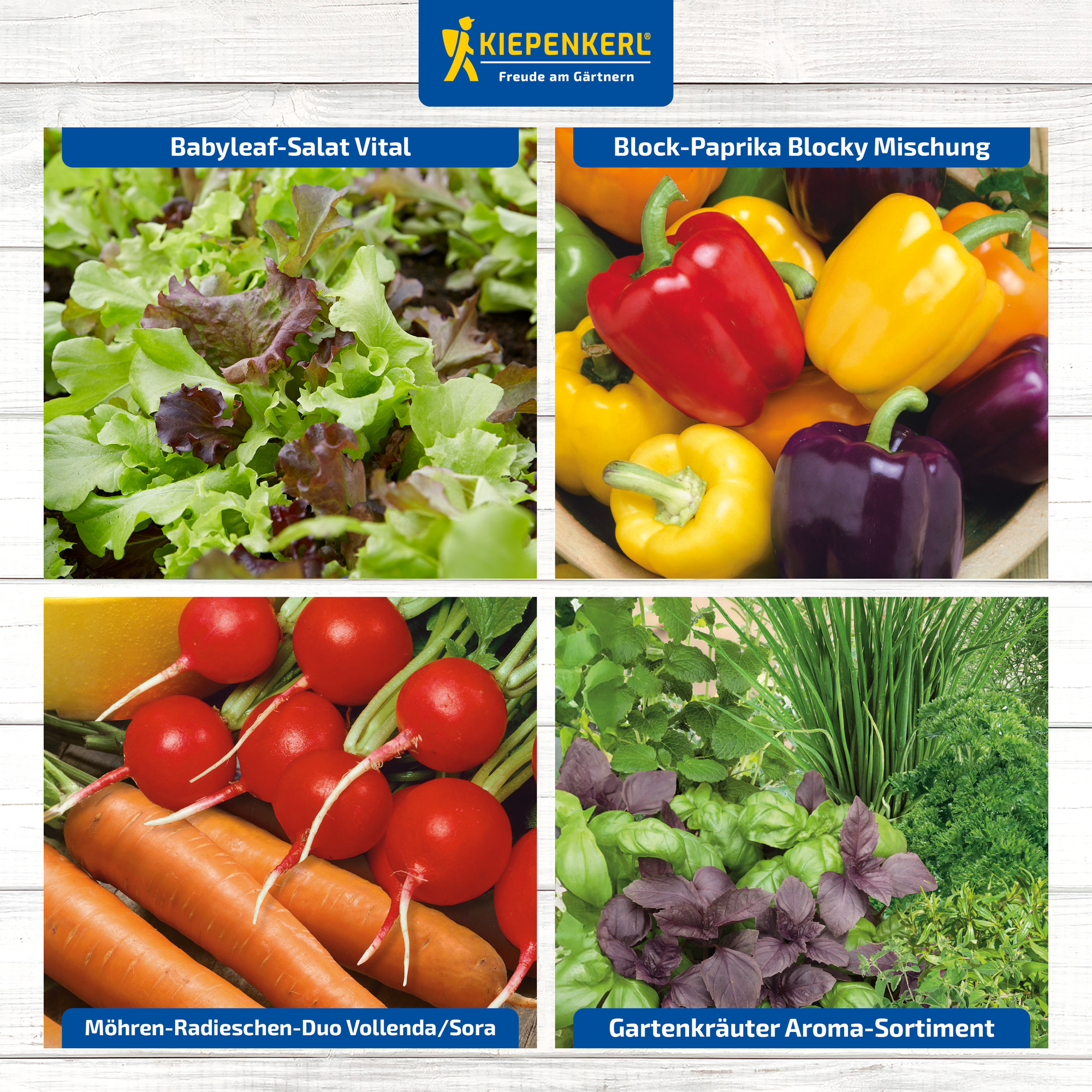 Verschiedene Gartenkräuter, Paprika, Radieschen, Karotten und Salat auf einem Bild.