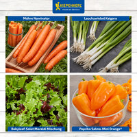 Vier Gemüsesorten in einem Küchenbild: Möhren, Lauchzwiebeln, Babyleaf-Salat, Mini Orange Paprika.