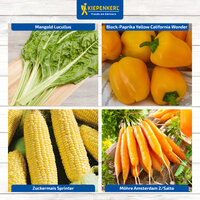 Vier frische Gemüsesorten auf weißem Holz Hintergrund, mit blauen Labels oben und unten.