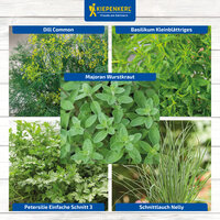 Verschiedene Kräuterpflanzen auf einem Schild, darunter Dill, Basilikum, Majoran, Petersilie und Schnittlauch.