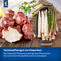 Frisches Gemüse mit Kiepenkerl Pflanzware, einschließlich Rüben, Spargel und Artischocken, auf Holz und Stoff.