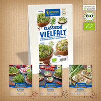 Verschiedene biologische Microgreens und Keimsprossen in Holzschalen auf weißem Holz hintergrund.