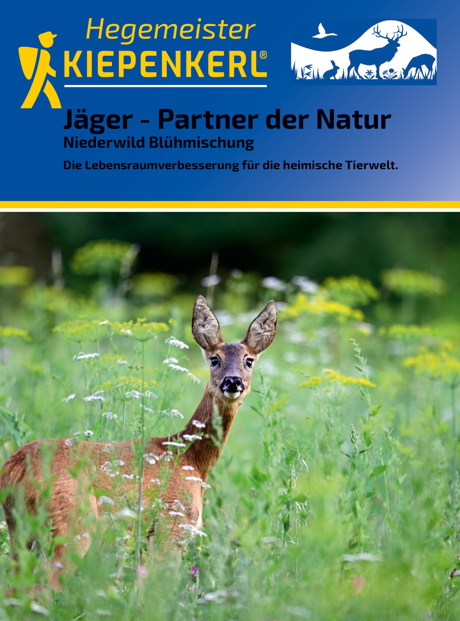 Junge Reh im grünen Wiesenfeld mit Blumen und Büschen.