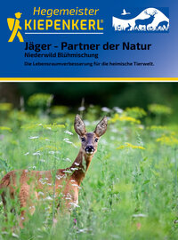 Junge Reh im grünen Wiesenfeld mit Blumen und Büschen.