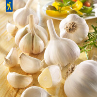 Haufen mit ganzen und gepellten Knoblauchzehen, daneben ein Knoblauchkopf, ein Zweig Rosmarin, auf einem Holztisch.