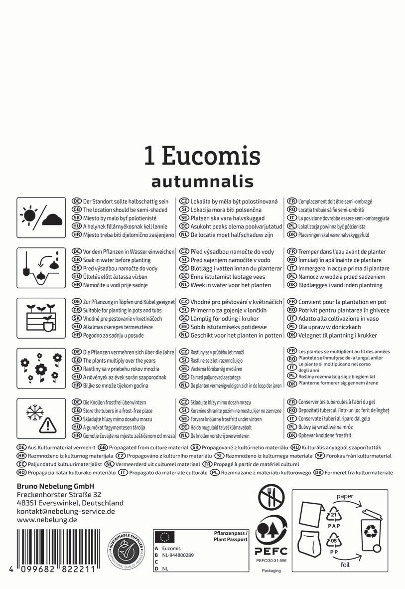 Text auf dem Bild: Anweisungen und Symbole für die Pflege und Bepflanzung von Eucomis autumnalis.