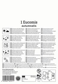 Text auf dem Bild: Anweisungen und Symbole für die Pflege und Bepflanzung von Eucomis autumnalis.