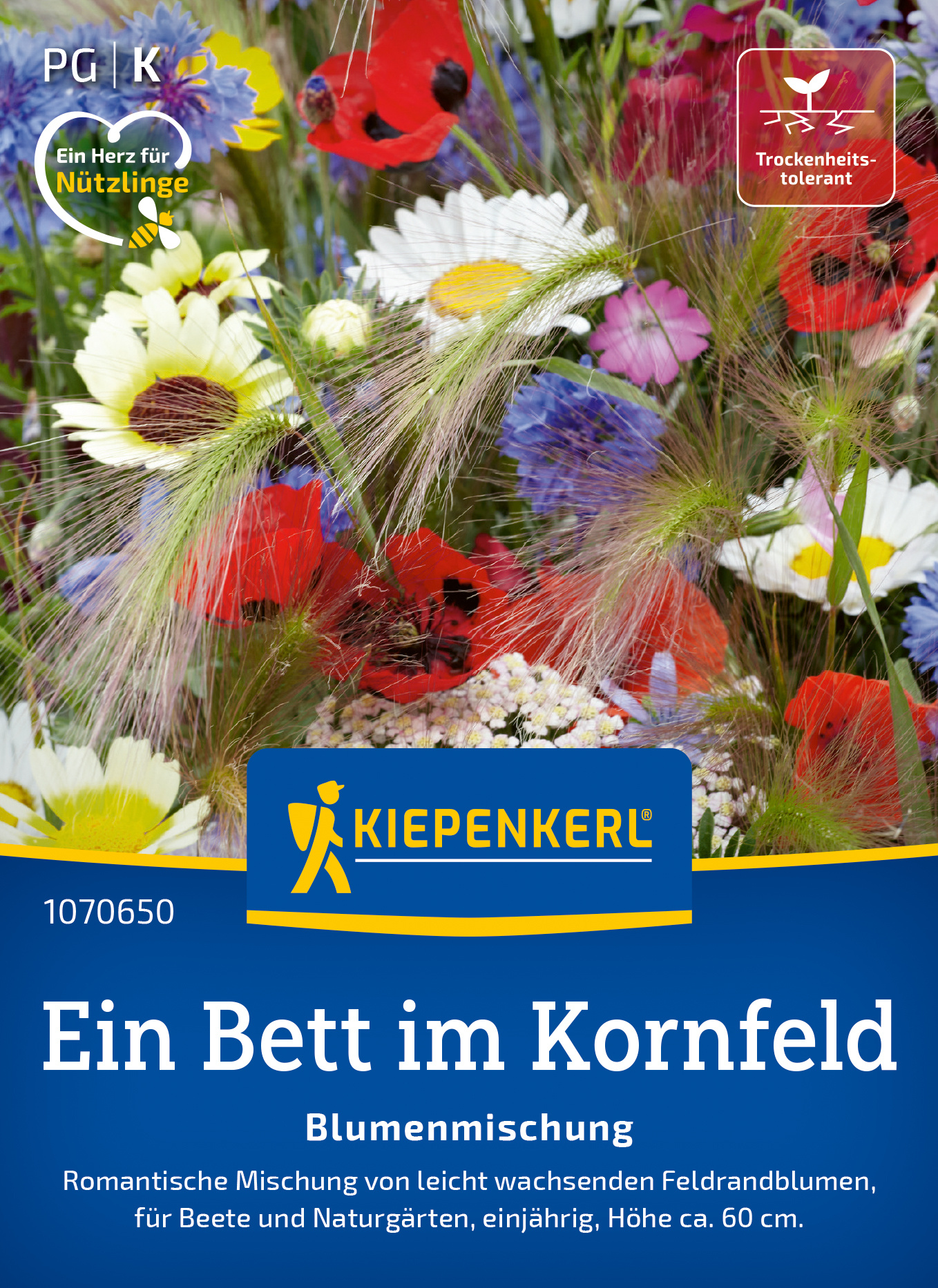 Bunte Blumenmischung in Kornfeld mit Wiesenblumen, für Beete und Gärten, einjährig, ca. 60 cm hoch