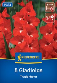 Rote Gladiolenblumen mit grünen Blättern, auf Verpackung mit blauer und brauner Beschriftung.