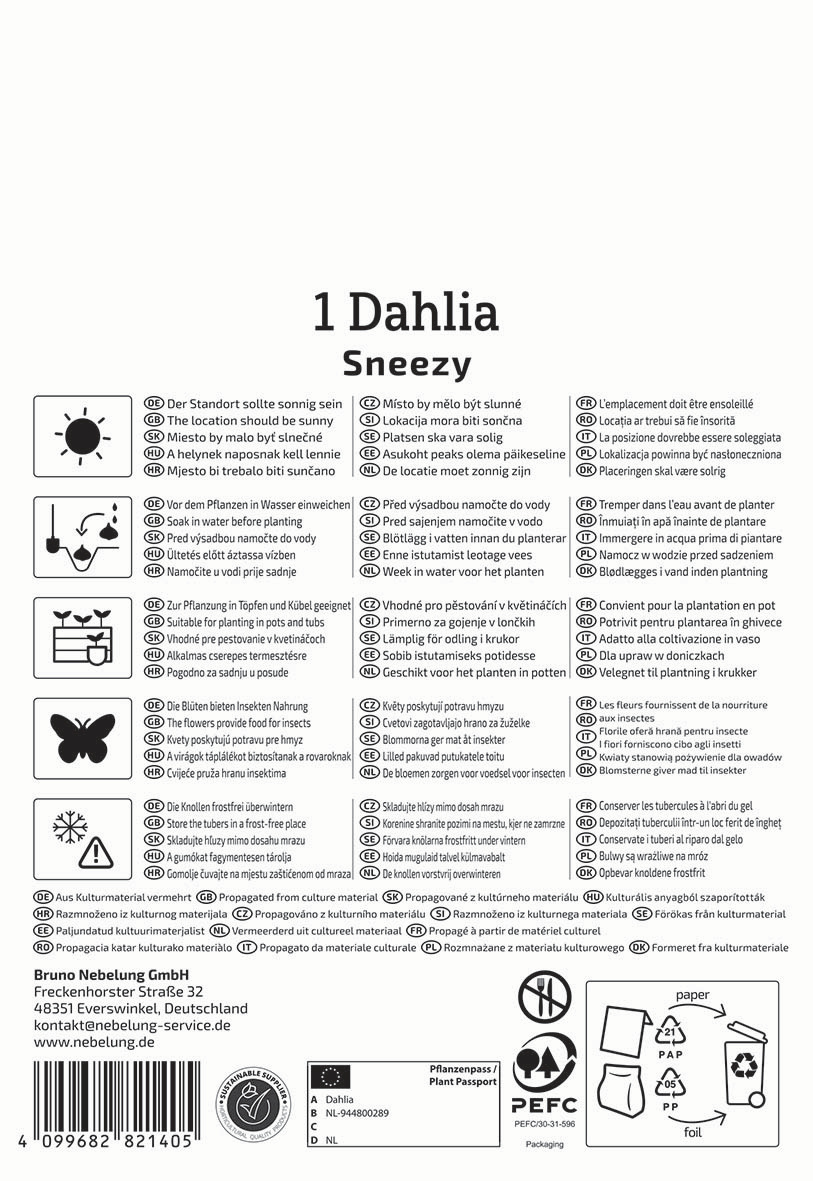 Anleitungssymbole und Pflegehinweise für eine Dahlia, inklusive Standort, Bewässerung, Pflanzung, Schädlingsschutz und Recycling-Infos.