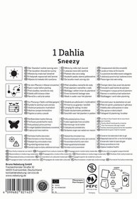 Anleitungssymbole und Pflegehinweise für eine Dahlia, inklusive Standort, Bewässerung, Pflanzung, Schädlingsschutz und Recycling-Infos.