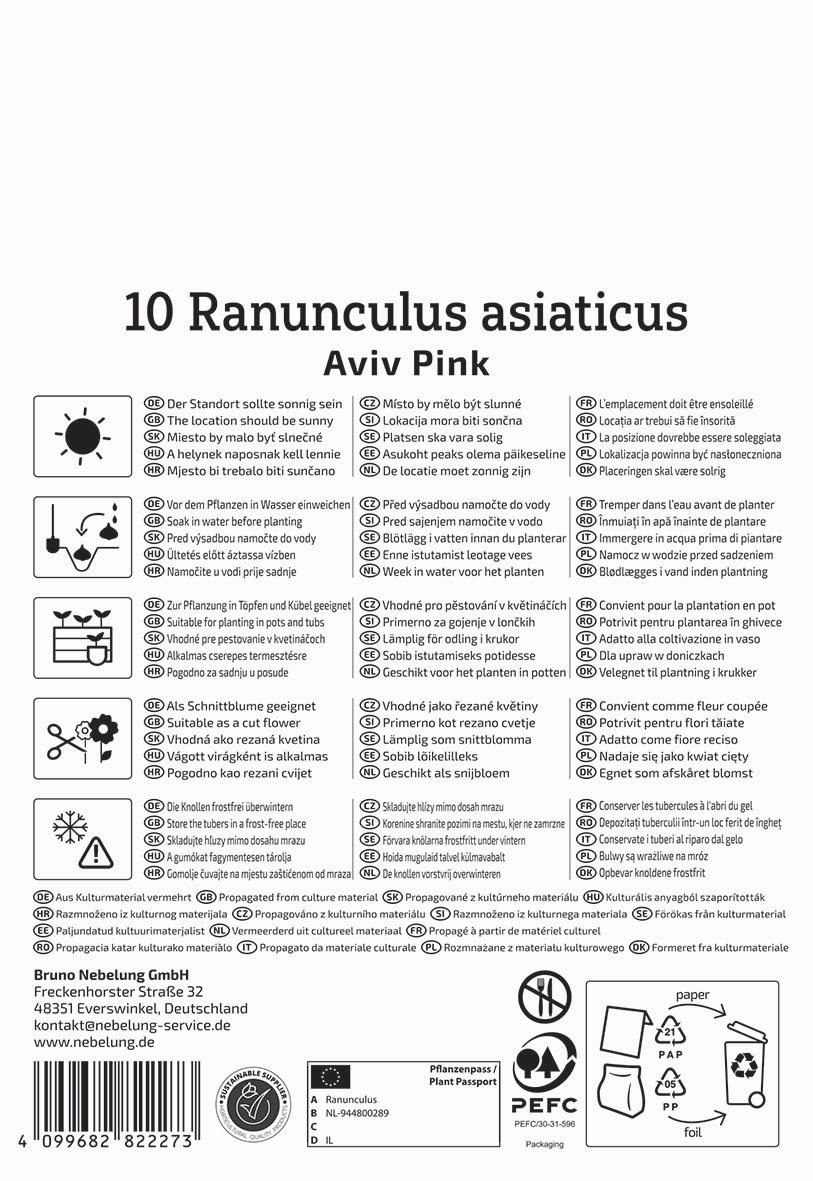 Anleitungstafel mit Pflegehinweisen und Pflanzinformationen für Ranunculus asiaticus, Aviv Pink.