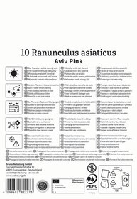 Anleitungstafel mit Pflegehinweisen und Pflanzinformationen für Ranunculus asiaticus, Aviv Pink.