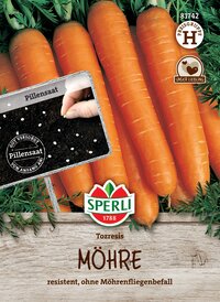 Bündel von großen, unbehandelten Möhren auf Holzuntergrund mit grünen Blättern im Hintergrund.