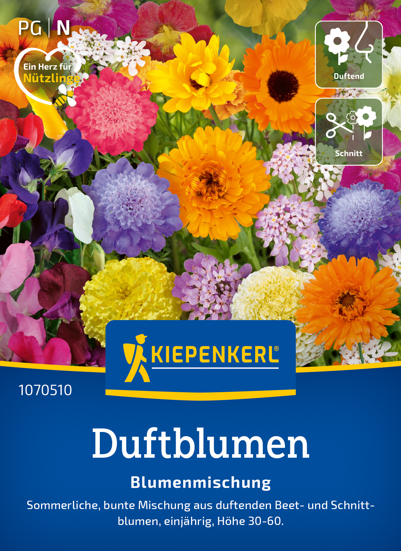 Bunte Blumenmischung mit Hortensien, Sommerblumen, Beet- und Schnittblumen, einjährige, Höhe 30-60 cm.