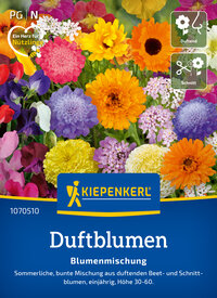 Bunte Blumenmischung mit Hortensien, Sommerblumen, Beet- und Schnittblumen, einjährige, Höhe 30-60 cm.